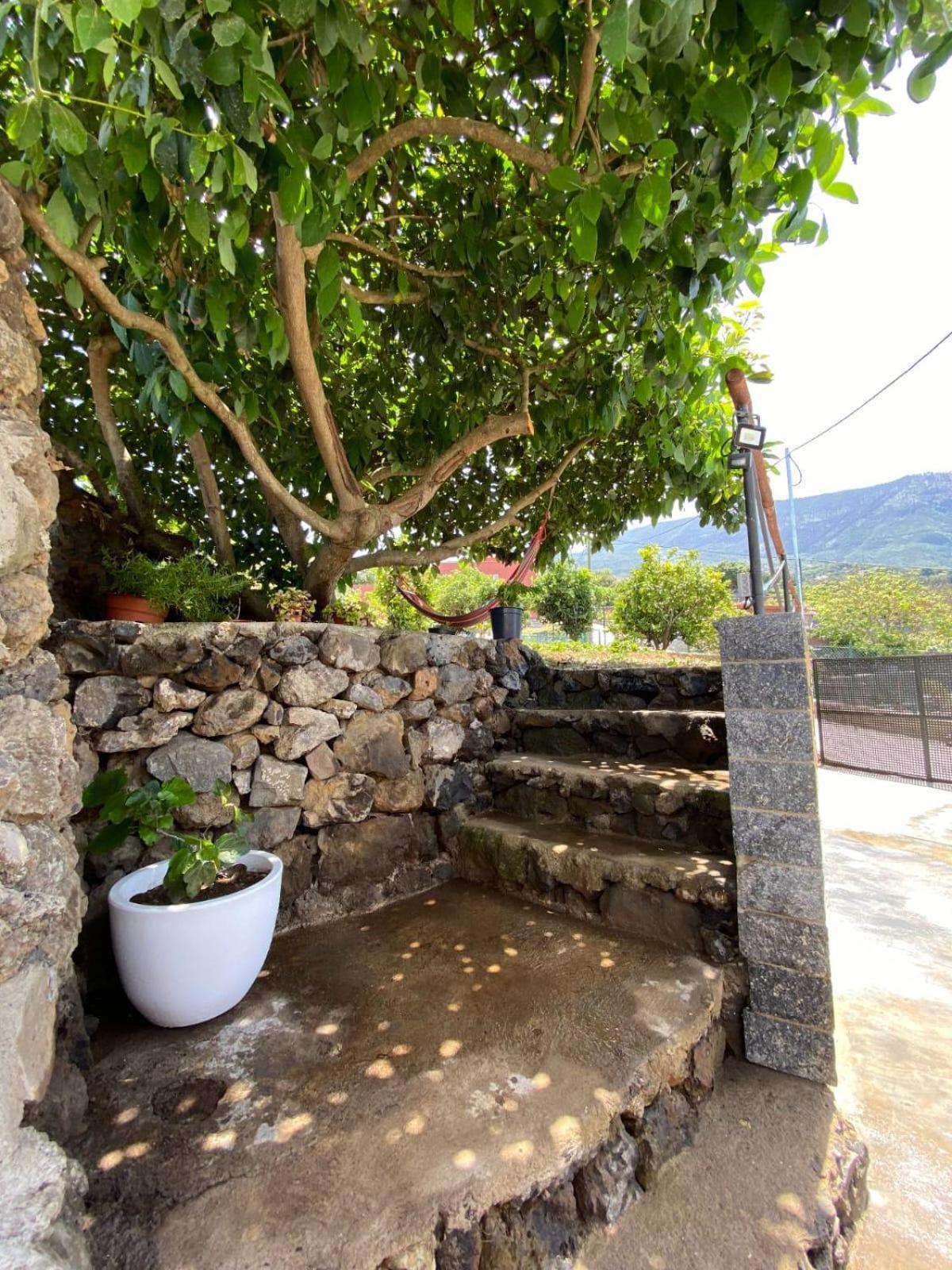 Villa Perejil Realejo Alto Eksteriør billede